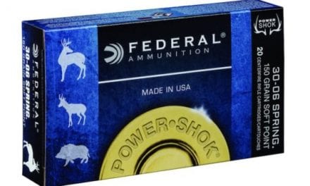 What You Need to Know About Federal Power Shok Ammo