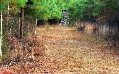 5 of the Worst Things You Can Do While Deer Hunting
