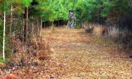 5 of the Worst Things You Can Do While Deer Hunting