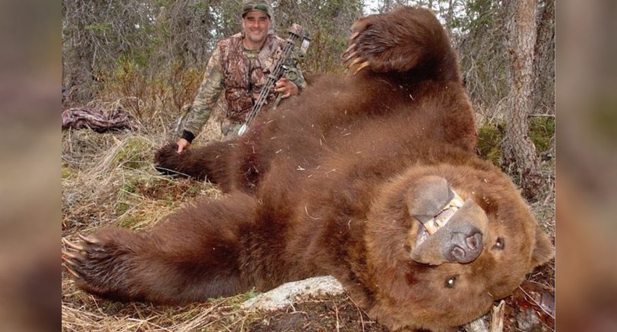 Awesome Places To Hunt Outside of Africa alaska
