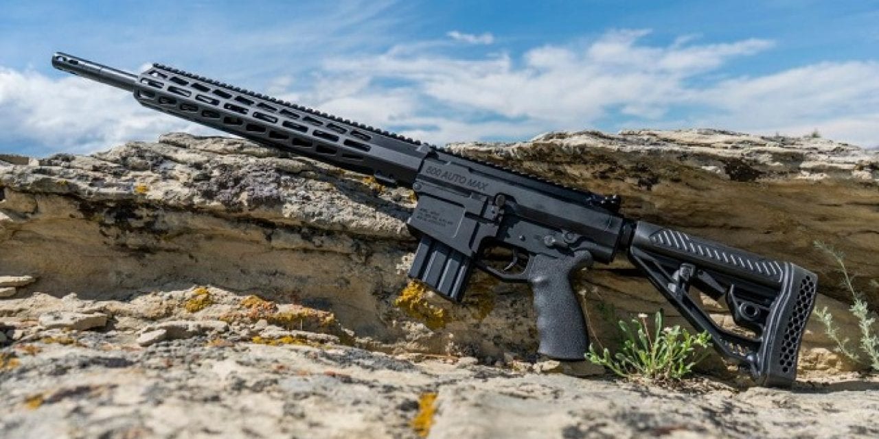 Bring in the New Year with a New Rifle from Big Horn Armory