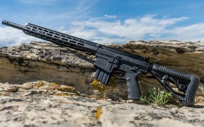 Bring in the New Year with a New Rifle from Big Horn Armory