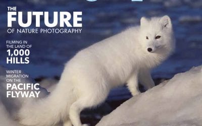 Cover Shot, February 2020