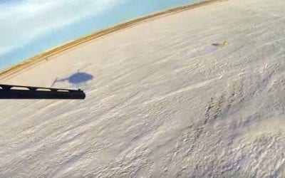 Coyote Hunter Kills 13 in 24 Minutes…With Help From a Helicopter