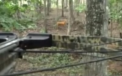 Didn’t Anyone Ever Tell You Dry Firing a Crossbow is a Bad Idea?