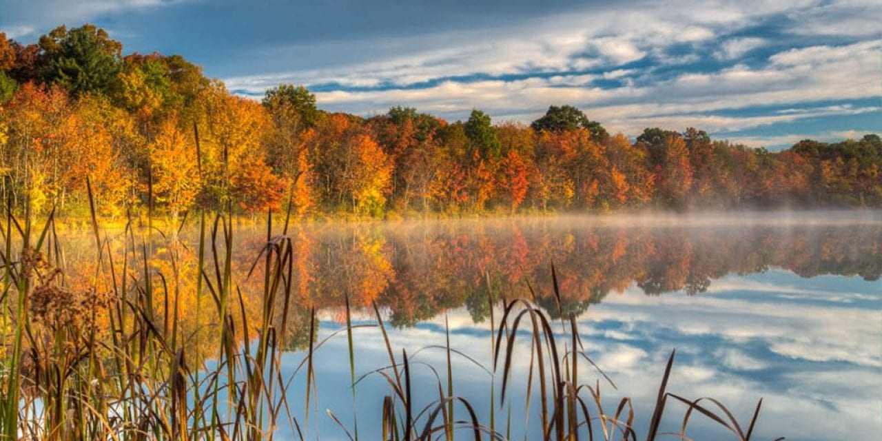 Fall Color 2019 Assignment Winner Mark Koskulitz