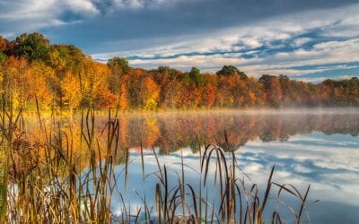 Fall Color 2019 Assignment Winner Mark Koskulitz