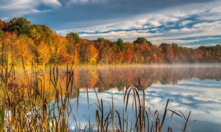 Fall Color 2019 Assignment Winner Mark Koskulitz