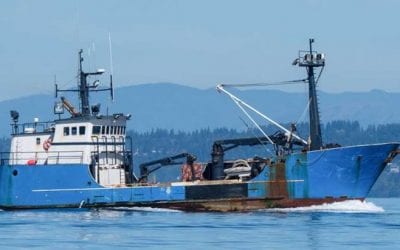 Fishing Industry Facts: Does Angling Make Money?