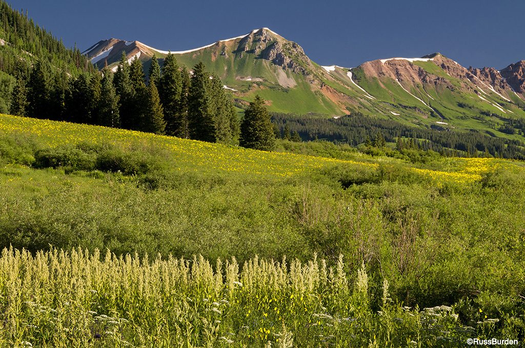 Foreground, Middleground, Background