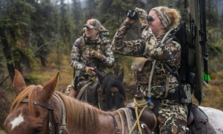 Hunting Dall Sheep in the Northwest Territories Will Test Anyone