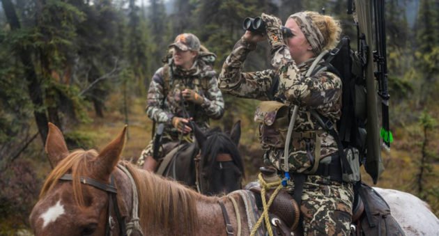 dall sheep hunt