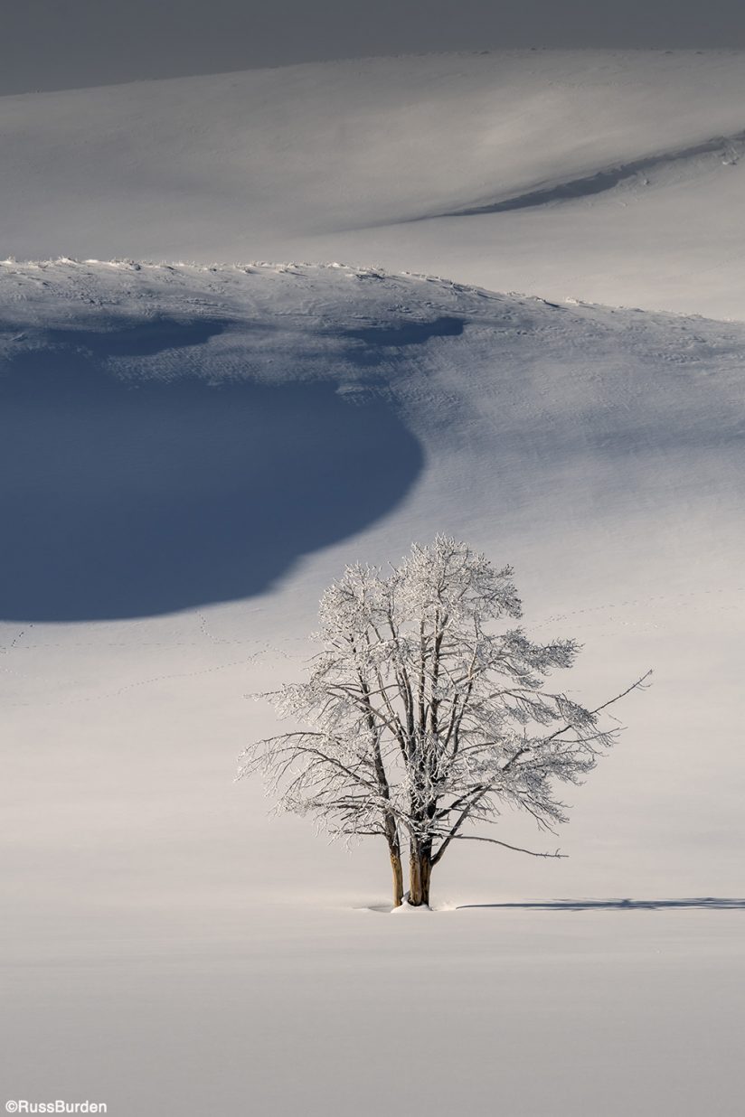 Snow photography