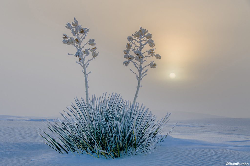 Snow photography