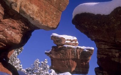 Landscapes In Snow