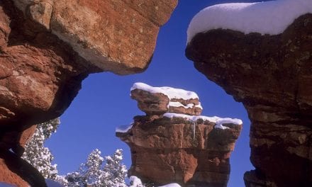 Landscapes In Snow