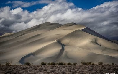 Light And Shadows Assignment Winner Lori Hibbett