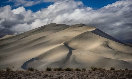 Light And Shadows Assignment Winner Lori Hibbett