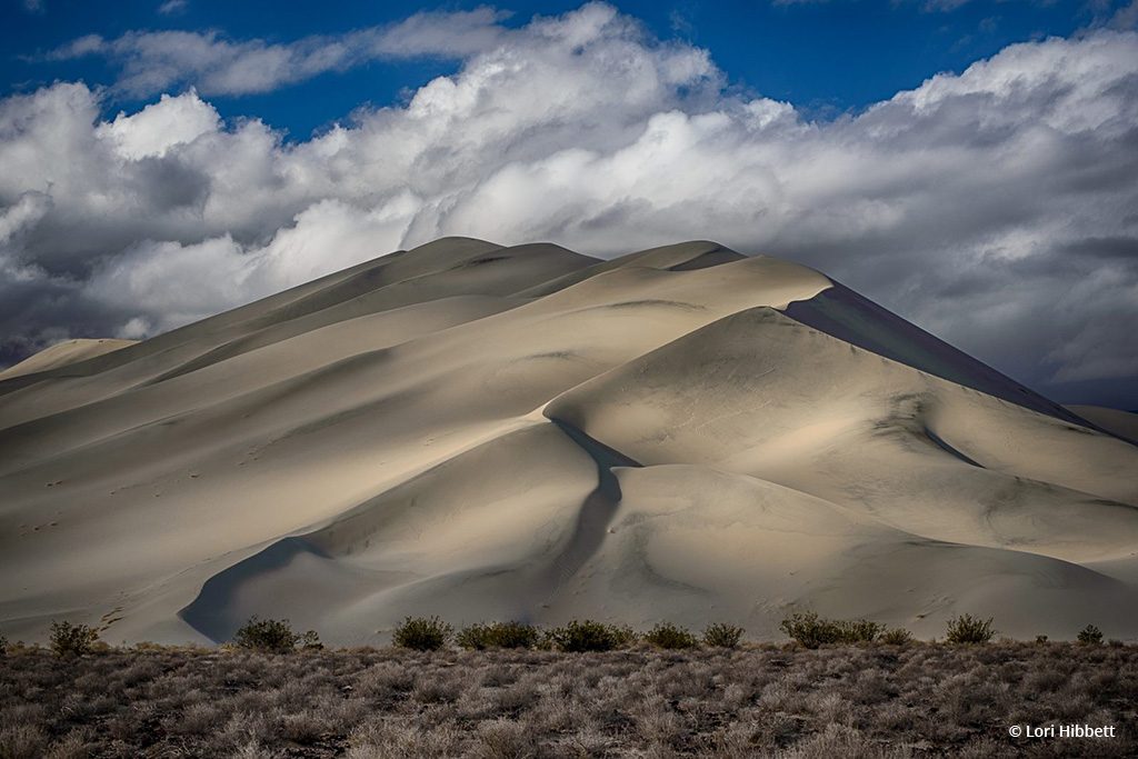 Light And Shadows Assignment Winner Lori Hibbett