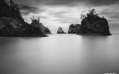 Monochrome Vision Assignment Winner Masako Metz