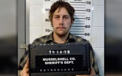 Montana Plagued With More Poaching, Man Facing Charges for Illegally Killing 3 Elk