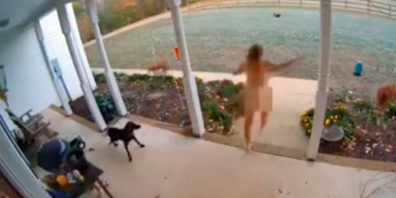 Naked Lady Chases Fox Away From Chickens
