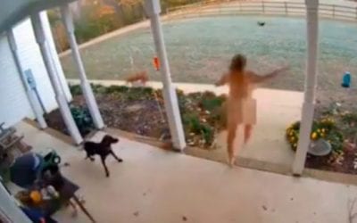Naked Lady Chases Fox Away From Chickens