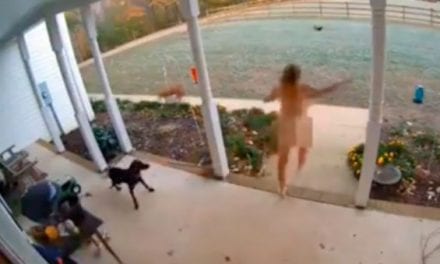 Naked Lady Chases Fox Away From Chickens