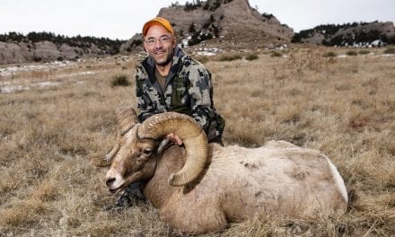 Nebraska bighorn sheep hunters successful
