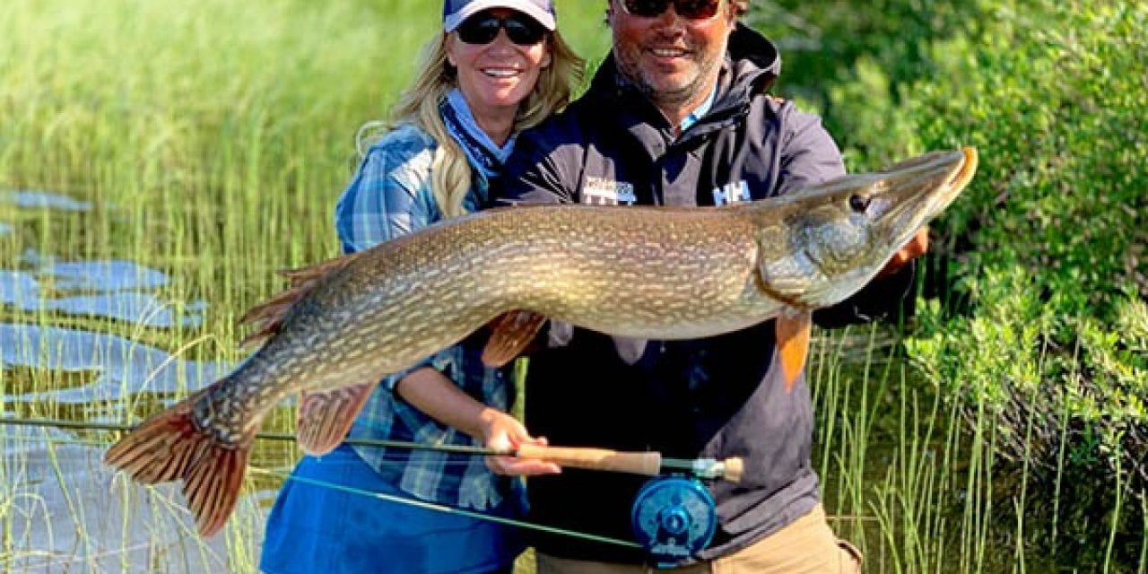 November 2019 IGFA Records