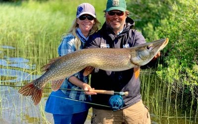 November 2019 IGFA Records