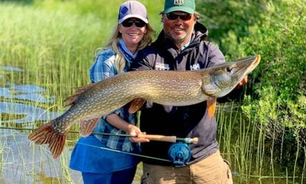 November 2019 IGFA Records