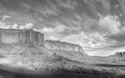 Photo Of The Day By David Connel