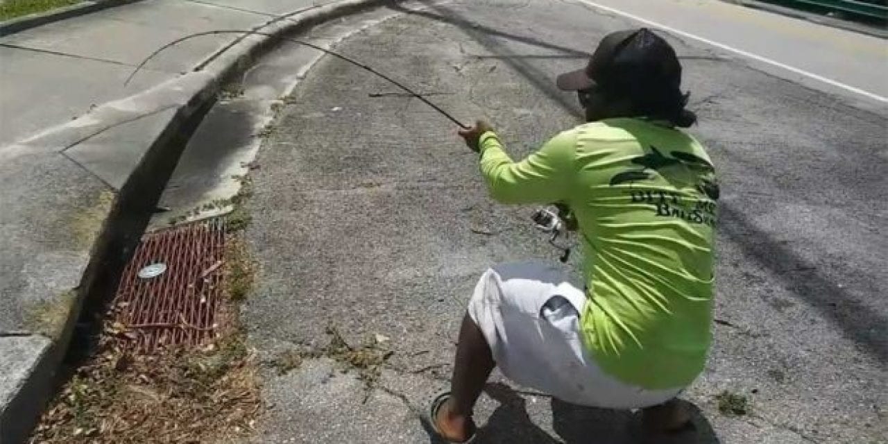 Storm Drain Fishing is a Real Thing, and This Video Proves It