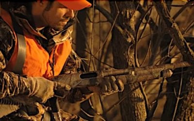 The Best Guns for Deer Drives