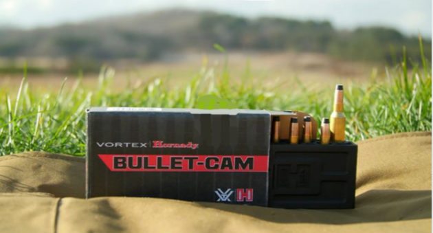 bullet