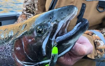 Yakima Christmas Buying Guide, By Mark Romanack