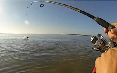 10 Big Fish That Got Away