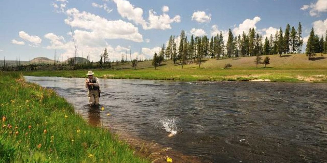 12 Best Fishing Vests of 2020 for Fly Fishing and Kayak Fishing