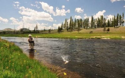 12 Best Fishing Vests of 2020 for Fly Fishing and Kayak Fishing