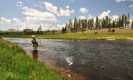 12 Best Fishing Vests of 2020 for Fly Fishing and Kayak Fishing