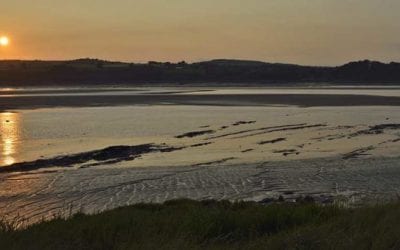 British Fishing Group Finds Nearly 700-Year-Old Fishing Basket