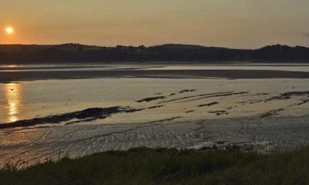 British Fishing Group Finds Nearly 700-Year-Old Fishing Basket