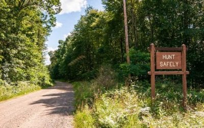 Game Commission Gives Preliminary Approval for Pennsylvania Sunday Hunting Dates