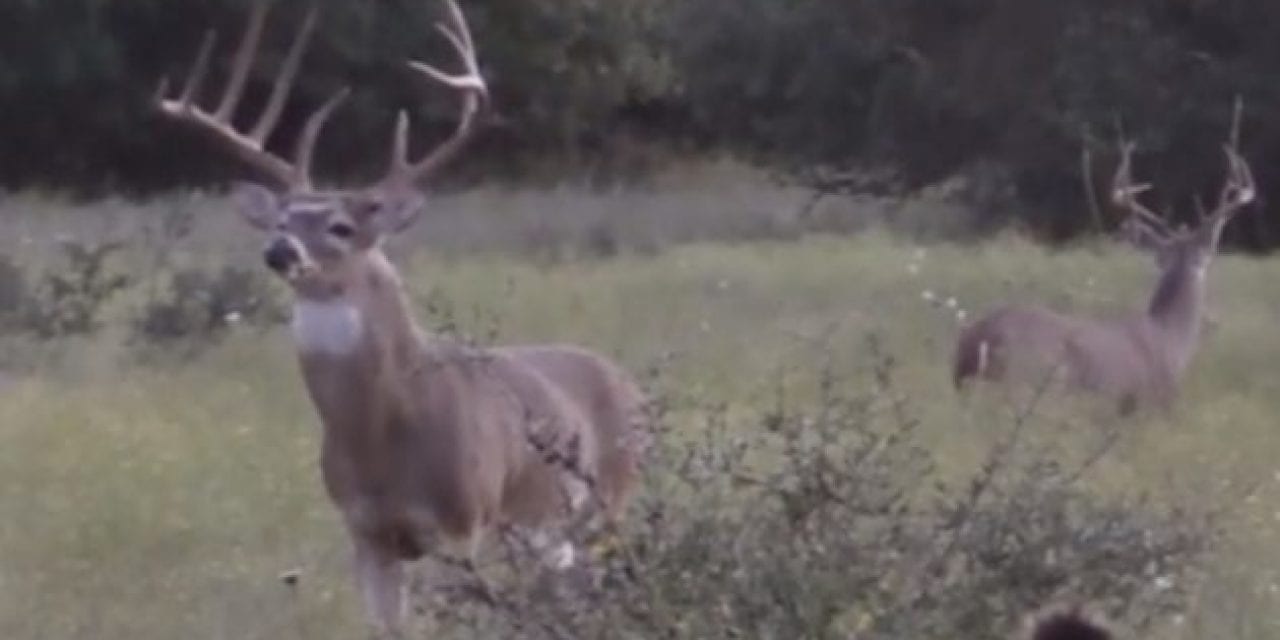 Glenn Guess Bags the Buck of a Lifetime in Texas