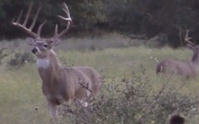 Glenn Guess Bags the Buck of a Lifetime in Texas