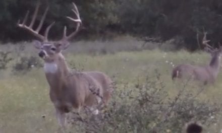 Glenn Guess Bags the Buck of a Lifetime in Texas