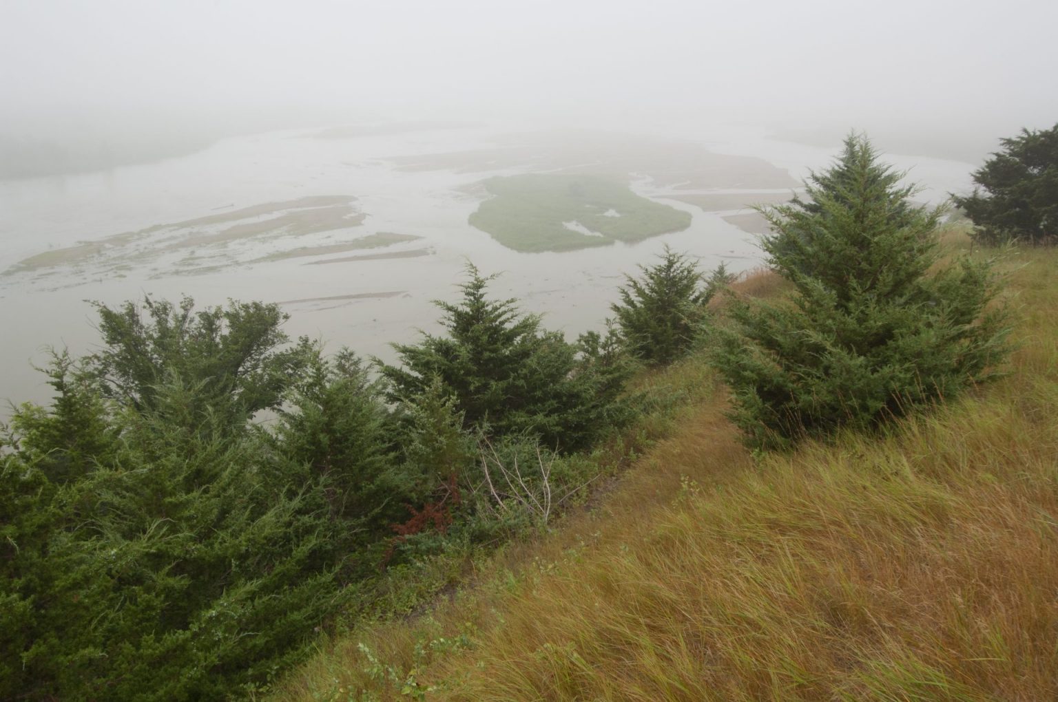 Halt Eastern Redcedar Invasion - Outdoor Enthusiast Lifestyle Magazine