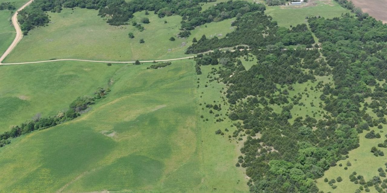 Halt Eastern Redcedar Invasion