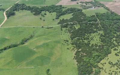 Halt Eastern Redcedar Invasion